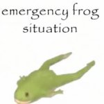 Emergency frog situation meme