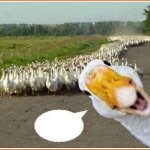 GOOSES MARCHING HOME