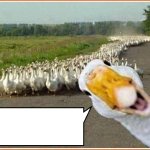 GOOSES MARCHING HOME [V2]