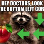 hehe hehe hehe he ? | HEY DOCTORS, LOOK AT THE BOTTOM LEFT CORNER | image tagged in memes,evil plotting raccoon | made w/ Imgflip meme maker