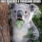 Surprised Koala | WHEN YOU REALIZE THE LAST MEME YOU POSTED ON IMGFLIP HAS REACHED A THOUSAND VIEWS | image tagged in memes,surprised koala | made w/ Imgflip meme maker