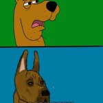 scooby doo | RUH ROH; BARK BARK | image tagged in scooby doo,dogs | made w/ Imgflip meme maker