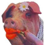 Sexy Pig