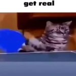 Get real GIF Template