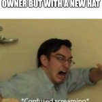 Welp time to start this relationship over | MY CAT WHEN IT SEES ME ITS LIFE LONG OWNER BUT WITH A NEW HAT | image tagged in confused screaming,cats,new hat | made w/ Imgflip meme maker