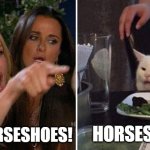 Horses Wear What?! | IT'S HORSESHOES! HORSES HOES | image tagged in angry lady cat,horseshoes,horses hoes | made w/ Imgflip meme maker