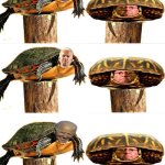 Joe Biden and Mitch McConnell, 2 old useless turtles