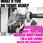 GenX Housewife Life | WHAT’D YOU DO TODAY, DEAR? HOUSEWORK AND TROLLING MEMERS WHO THINK I’M A KID LIVING WITH MY PARENTS | image tagged in vintage husband and wife,humor,trolling,funny memes,hobbies,housewife | made w/ Imgflip meme maker