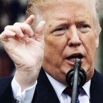 rump describes his mushroom