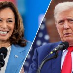 Kamala Harris Donald Trump Team Normal Vs. Team Crazy