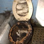 Nasty toilet