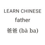 Chinese Father