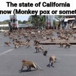 Something about monkeypox | The state of California right now (Monkey pox or something) | image tagged in gifs,memes,california,monkeypox,oh wow are you actually reading these tags | made w/ Imgflip video-to-gif maker