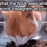 What the NSA sees while I'm at lunch | What the NSA sees while I scroll Instagram at lunch | image tagged in gifs,cats,cat,eating,spy,spying | made w/ Imgflip video-to-gif maker