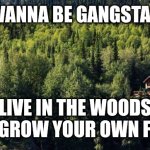 Gangsta life | WANNA BE GANGSTA? LIVE IN THE WOODS AND GROW YOUR OWN FOOD. | image tagged in homestead,off-grid,self-sufficient,autonomous | made w/ Imgflip meme maker