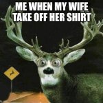 DEER IN THE HEADLIGHTS | ME WHEN MY WIFE TAKE OFF HER SHIRT | image tagged in deer in the headlights | made w/ Imgflip meme maker