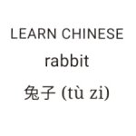 Chinese Rabbit