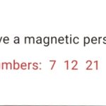 Fortune Magnetic 5