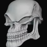 jim carrey skull