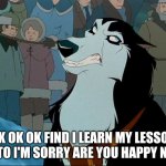 Ok ok ok find I'm Sorry | OK OK OK FIND I LEARN MY LESSON BALTO I'M SORRY ARE YOU HAPPY NOW | image tagged in steele,balto | made w/ Imgflip meme maker