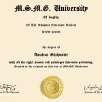 Amateur Shitposter degree