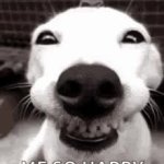 pp GIF Template