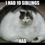 fat cat 2 | I HAD 10 SIBLINGS; HAD | image tagged in fat cat 2 | made w/ Imgflip meme maker