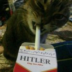 Cat with Nazi-cigarettes