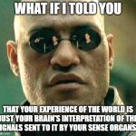 And your brain tends to interpret those signals in such a way that what you experience is what you expect to experience. | WHAT IF I TOLD YOU; THAT YOUR EXPERIENCE OF THE WORLD IS
JUST YOUR BRAIN'S INTERPRETATION OF THE
SIGNALS SENT TO IT BY YOUR SENSE ORGANS? | image tagged in what if i told you,matrix morpheus,matrix,reality,reality check,expectation vs reality | made w/ Imgflip meme maker