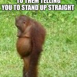 Sad orangutan | WHAT PARENTS ENVISIONS WILL HAPPEN WHEN YOU DON'T LISTEN TO THEM TELLING YOU TO STAND UP STRAIGHT; YOUR NECK DISAPPEARS | image tagged in sad orangutan | made w/ Imgflip meme maker