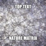 Top Text Trend 5 | TOP TEXT; NATURE MATRIX | image tagged in matrix | made w/ Imgflip meme maker