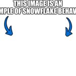 This image is an example of snowflake behavior meme