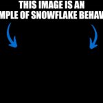 This image is an example of snowflake behavior dark mode meme