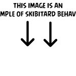 This image is an example of skibiditard behavior