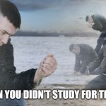 You didn't study for the exams: | YOU WHEN YOU DIDN'T STUDY FOR THE EXAMS: | image tagged in guy with sand in the hands of despair | made w/ Imgflip meme maker