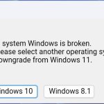 Windows 11 is broken | System Error; Your operating system Windows is broken.

To continue, please select another operating system Windows, to downgrade from Windows 11. Windows 10; Windows 8.1 | image tagged in windows 11 blank error message work in progress with the text | made w/ Imgflip meme maker