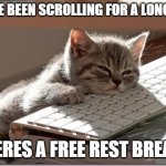 :3 | YOU'VE BEEN SCROLLING FOR A LONG TIME; HERES A FREE REST BREAK | image tagged in bored keyboard cat | made w/ Imgflip meme maker