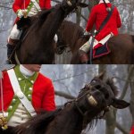 Horse photobomb - revolutionary war