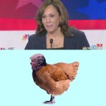 Kamala Harris and chicken shit Donald Trump