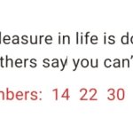 Fortune My Way 11