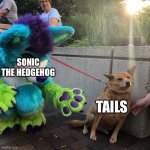 Tails get away from bad sonic | SONIC THE HEDGEHOG; TAILS | image tagged in dog afraid of furry | made w/ Imgflip meme maker