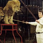 Lion Circus