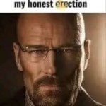 my honest erection meme