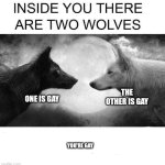 There are two wolves inside you | THE OTHER IS GAY; ONE IS GAY; YOU'RE GAY | image tagged in inside you there are two wolves | made w/ Imgflip meme maker