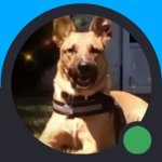 Sickdawg#2