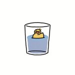 H20 Duck