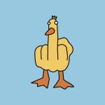 Middle Finger Duck