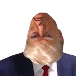 Donald Drumpf Trump Treason Man-slaughter Convicted Rapist KOS