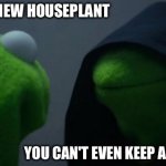 Evil Kermit | ME BUYING A NEW HOUSEPLANT; YOU CAN'T EVEN KEEP A CACTUS ALIVE | image tagged in memes,evil kermit | made w/ Imgflip meme maker