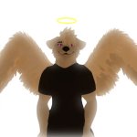 Furry Dog Angel